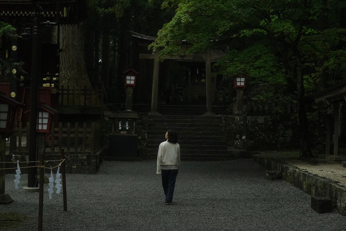お香 wild incense 2種セット : クロモジ白檀 ヒノキ沈香