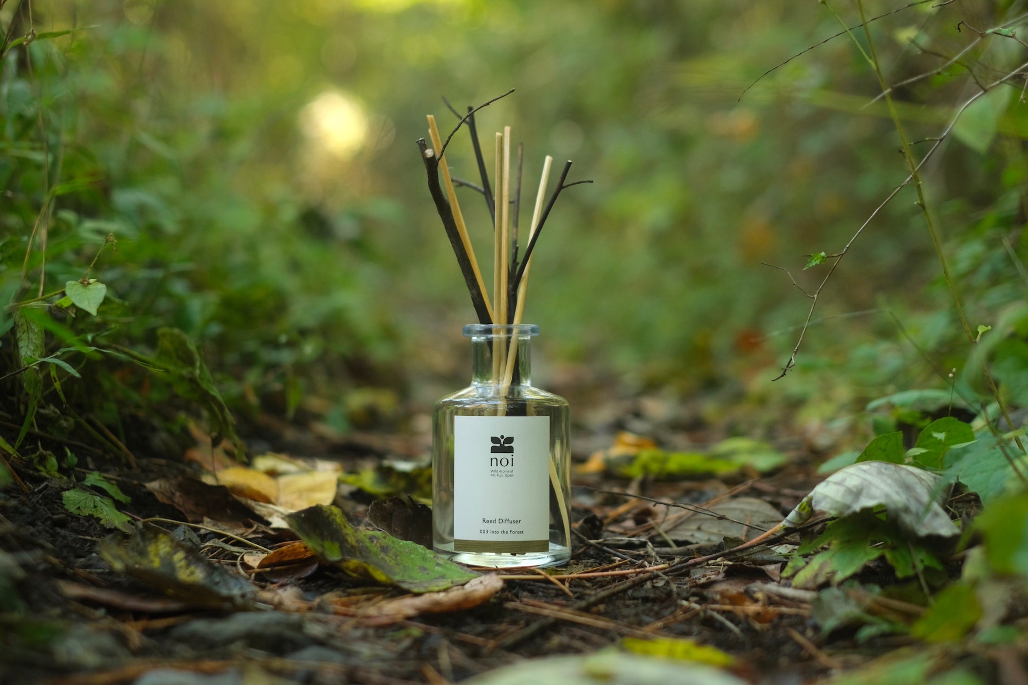 リードディフューザー ホームフレグランス 003 Into the Forest – noi