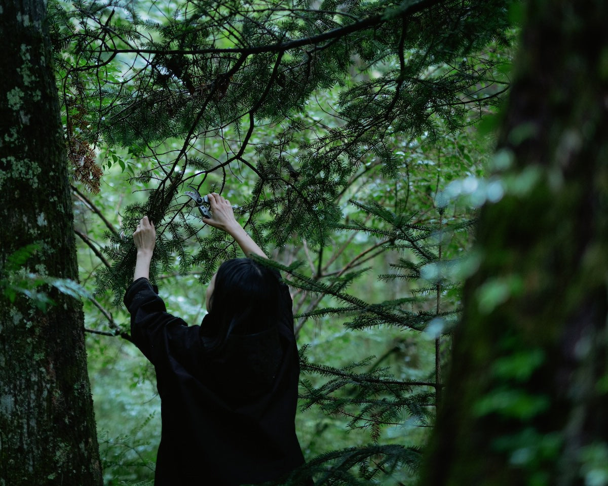 リードディフューザー ホームフレグランス 003 Into the Forest – noi