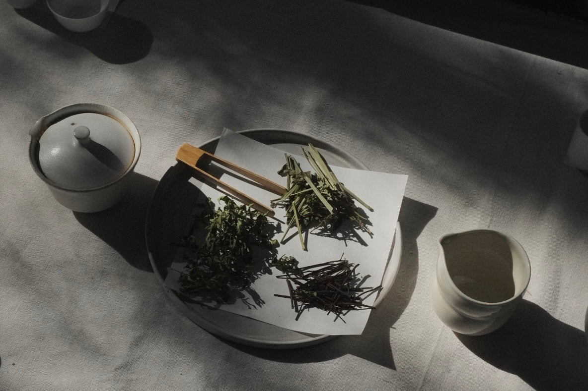 【2026年3月28日(土)開催】noiの茶会  -富士山の森を歩き、植物の香りを聞く