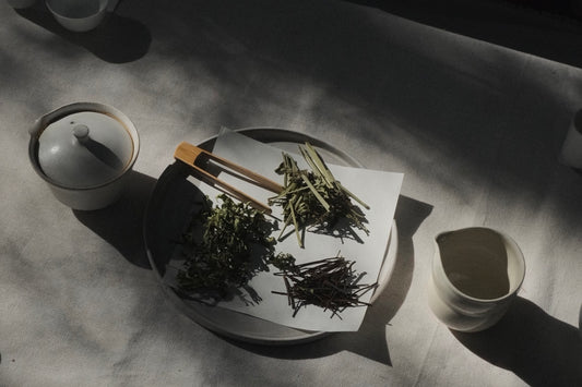 【2026年3月28日(土)開催】noiの茶会  -富士山の森を歩き、植物の香りを聞く