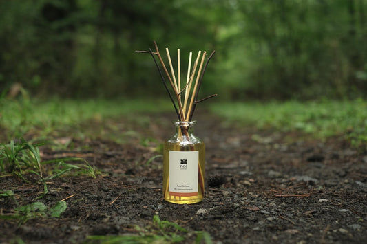 Reed diffuser home fragrance <005 Cedarwood Petitgrain>
